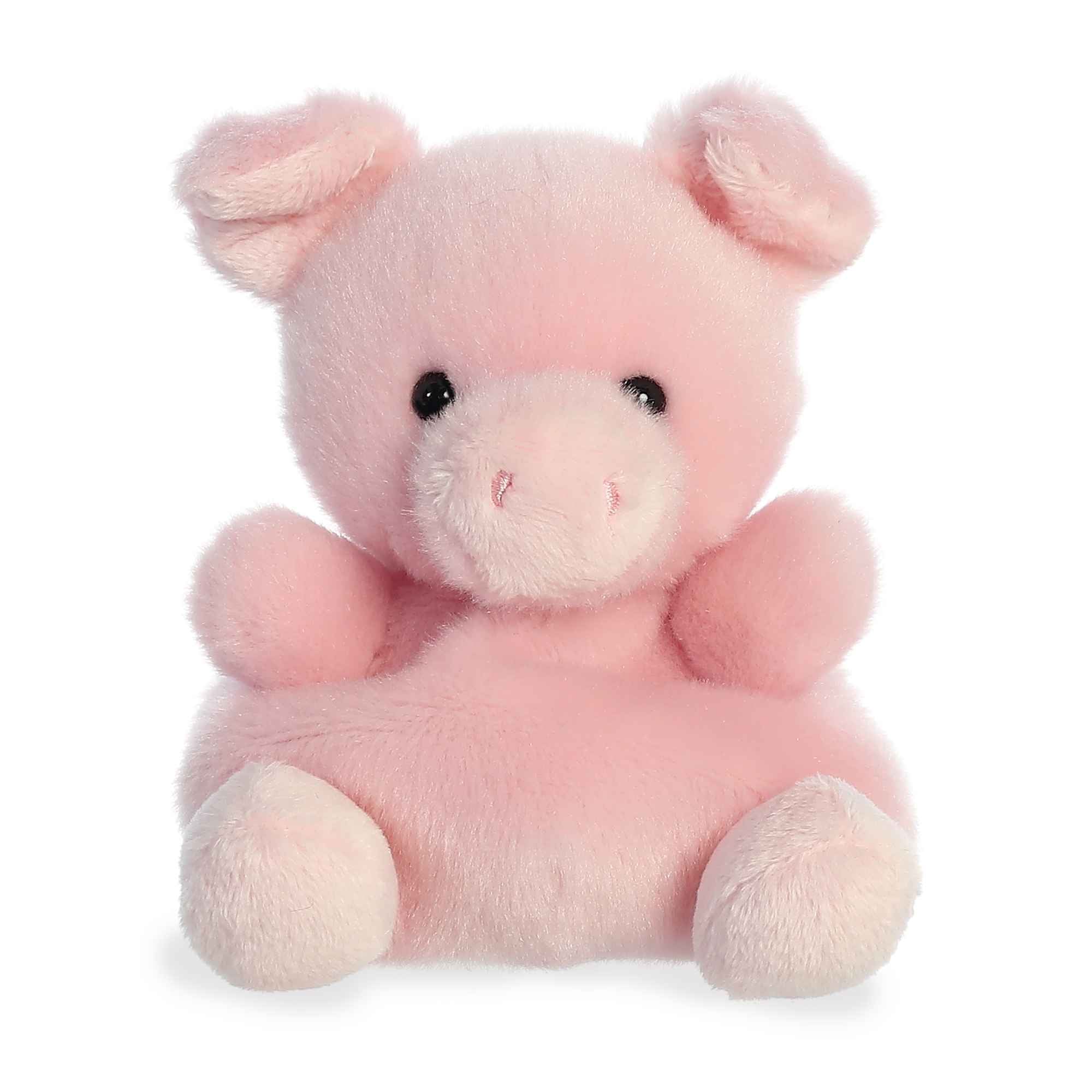 Wizard Pig Palm Pal Plush – 13 cm